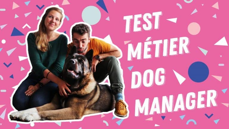 Découvrez le métier de dog manager avec May, dog momager de Malcolm the akita