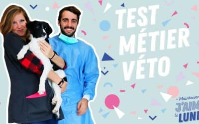 Métier vétérinaire : le bonheur et la difficulté de travailler avec des animaux