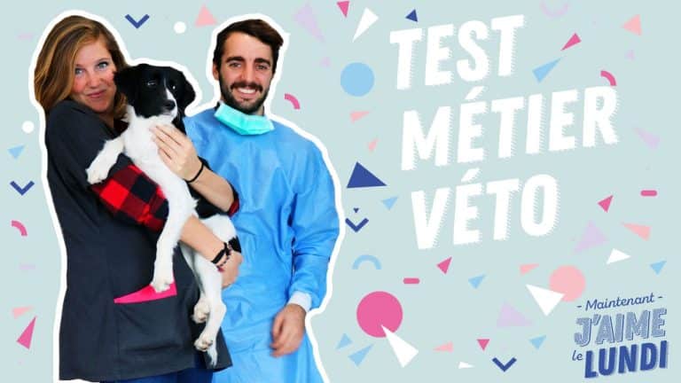 Métier vétérinaire : le bonheur et la difficulté de travailler avec des animaux