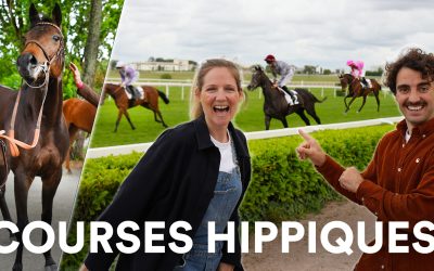 Travailler avec les chevaux : les métiers des courses hippiques (palefrenier, cavalier d’entrainement, lad driver, jockey…)