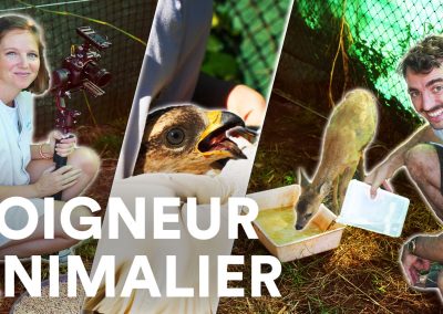 Devenir soigneur animalier : études, salaires, reconversion, témoignage