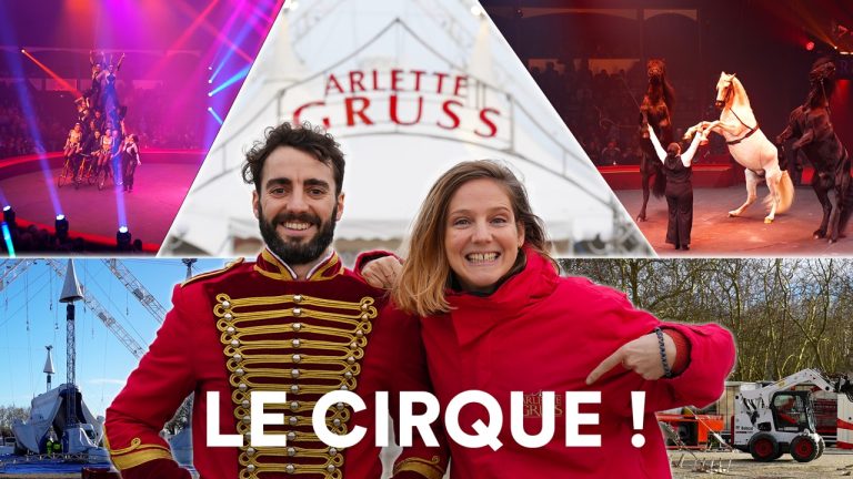 Travailler chez Arlette Gruss : les coulisses des métiers du cirque